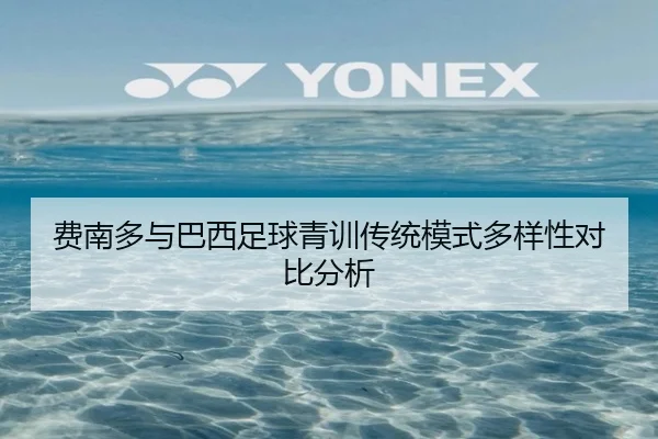 费南多与巴西足球青训传统模式多样性对比分析